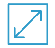 Audit role